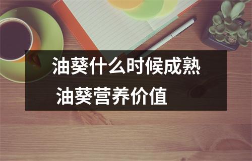 油葵什么时候成熟 油葵营养价值