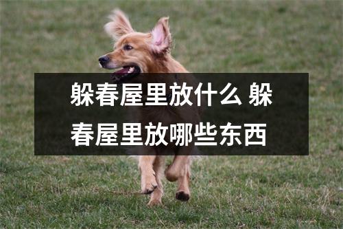 躲春屋里放什么 躲春屋里放哪些东西