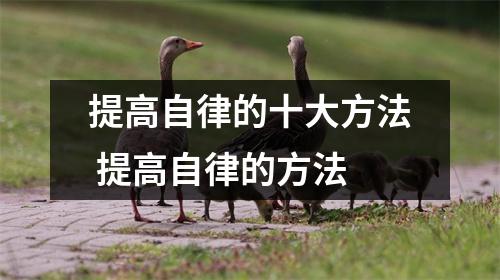 提高自律的十大方法 提高自律的方法
