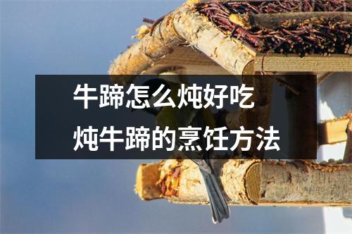 牛蹄怎么炖好吃 炖牛蹄的烹饪方法