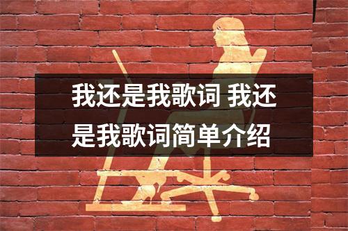 我还是我歌词 我还是我歌词简单介绍