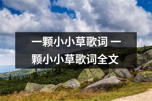 一颗小小草歌词 一颗小小草歌词全文