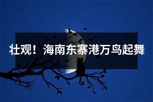 壮观！海南东寨港万鸟起舞