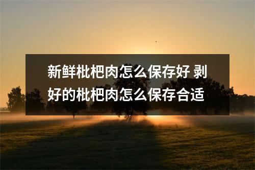 新鲜枇杷肉怎么保存好 剥好的枇杷肉怎么保存合适