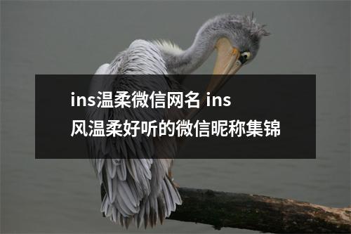 ins温柔微信网名 ins风温柔好听的微信昵称集锦