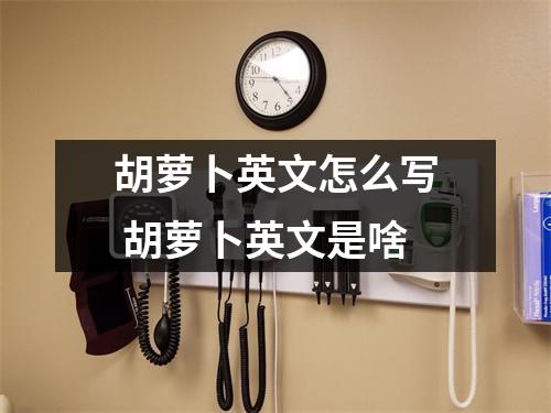 胡萝卜英文怎么写 胡萝卜英文是啥