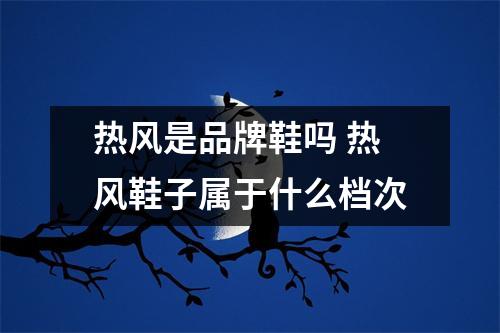 热风是品牌鞋吗 热风鞋子属于什么档次