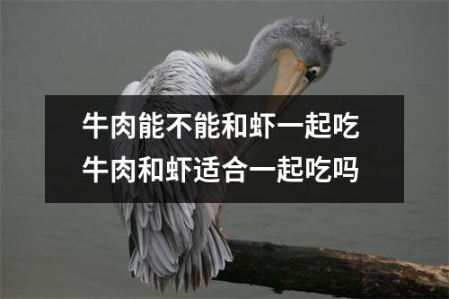 牛肉能不能和虾一起吃 牛肉和虾适合一起吃吗