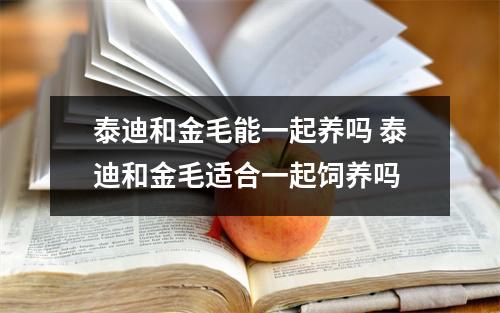 泰迪和金毛能一起养吗 泰迪和金毛适合一起饲养吗