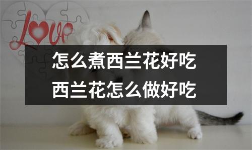 怎么煮西兰花好吃 西兰花怎么做好吃