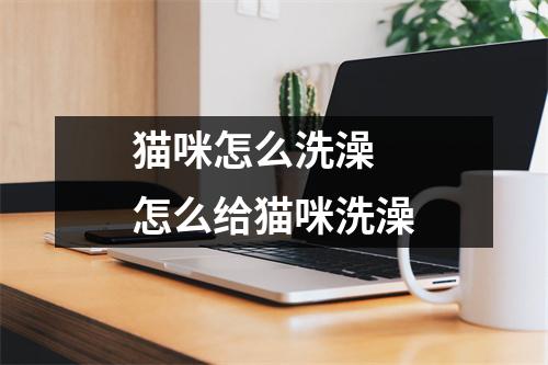 猫咪怎么洗澡 怎么给猫咪洗澡