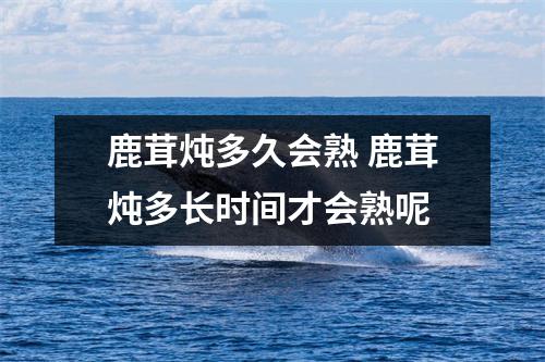 鹿茸炖多久会熟 鹿茸炖多长时间才会熟呢