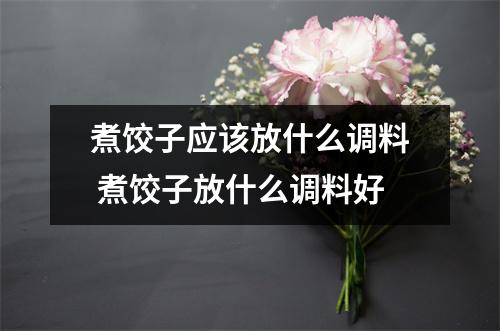 煮饺子应该放什么调料 煮饺子放什么调料好