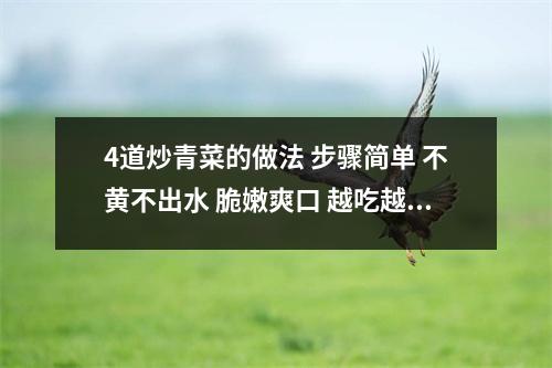 4道炒青菜的做法 步骤简单 不黄不出水 脆嫩爽口 越吃越健康