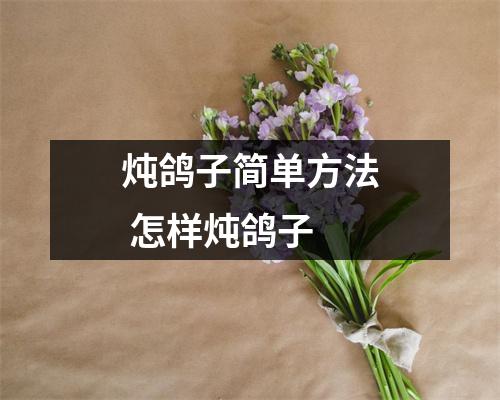 炖鸽子简单方法 怎样炖鸽子