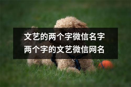 文艺的两个字微信名字 两个字的文艺微信网名 文艺的两个字微信名字 两个字的文艺微信网名