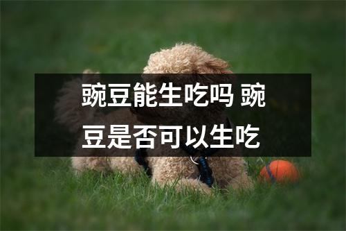 豌豆能生吃吗 豌豆是否可以生吃