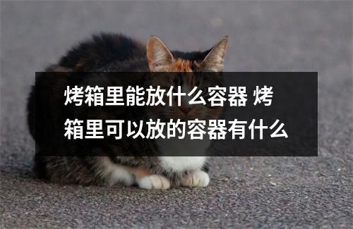 烤箱里能放什么容器 烤箱里可以放的容器有什么 烤箱里能放什么容器 烤箱里可以放的容器有什么