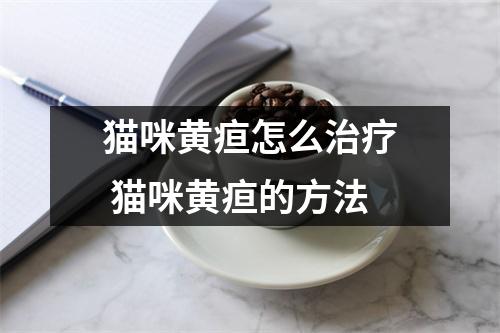 猫咪黄疸怎么治疗 猫咪黄疸的方法 猫咪黄疸怎么治疗 猫咪黄疸的方法
