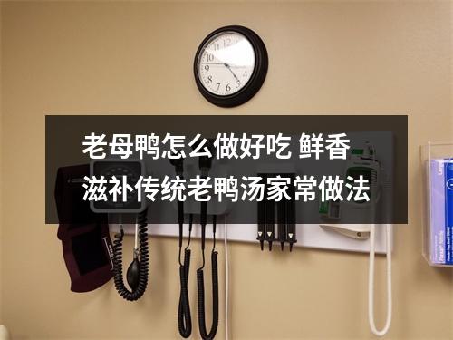 老母鸭怎么做好吃 鲜香滋补传统老鸭汤家常做法 老母鸭怎么做好吃 鲜香滋补传统老鸭汤家常做法