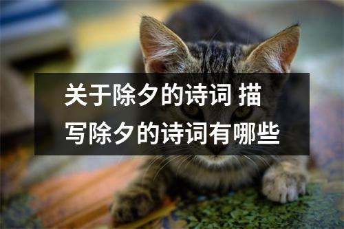 关于除夕的诗词 描写除夕的诗词有哪些