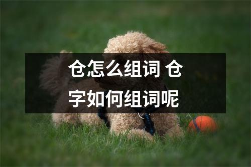 仓怎么组词 仓字如何组词呢