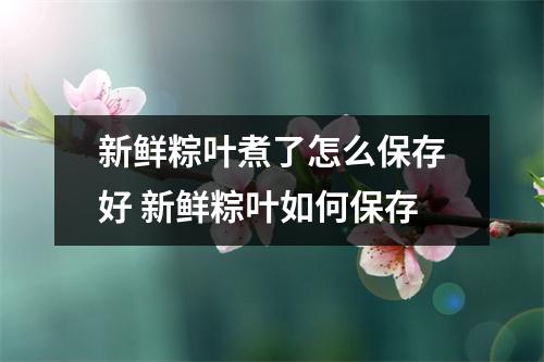 新鲜粽叶煮了怎么保存好 新鲜粽叶如何保存 新鲜粽叶煮了怎么保存好 新鲜粽叶如何保存