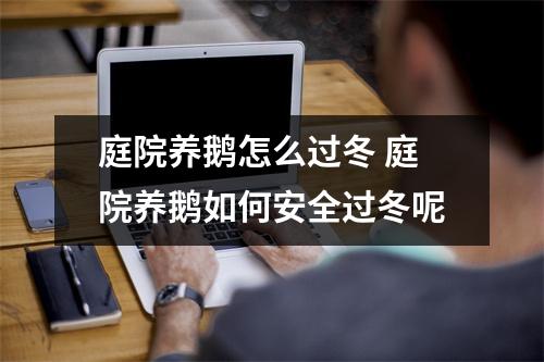庭院养鹅怎么过冬 庭院养鹅如何安全过冬呢 庭院养鹅怎么过冬 庭院养鹅如何安全过冬呢