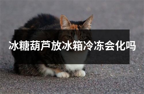 冰糖葫芦放冰箱冷冻会化吗