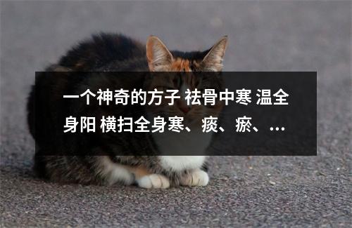 一个神奇的方子 祛骨中寒 温全身阳 横扫全身寒、痰、瘀、毒