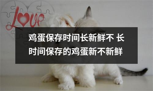 鸡蛋保存时间长新鲜不 长时间保存的鸡蛋新不新鲜