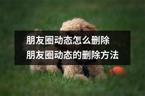 朋友圈动态怎么删除 朋友圈动态的删除方法