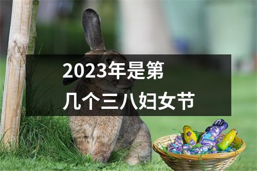2023年是第几个三八妇女节