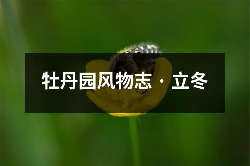 牡丹园风物志 · 立冬