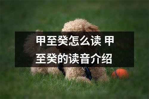 甲至癸怎么读 甲至癸的读音介绍