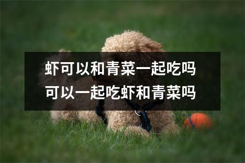 虾可以和青菜一起吃吗 可以一起吃虾和青菜吗