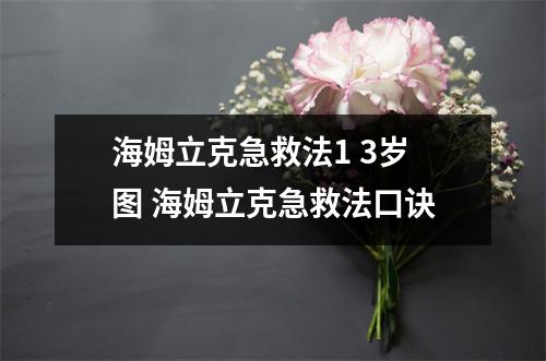 海姆立克急救法1 3岁图 海姆立克急救法口诀 海姆立克急救法1 3岁图 海姆立克急救法口诀