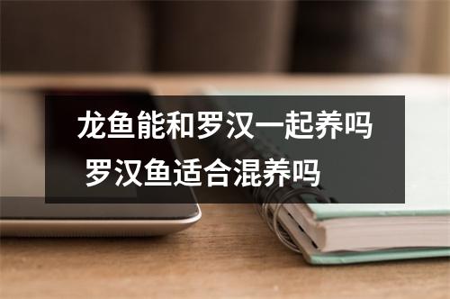 龙鱼能和罗汉一起养吗 罗汉鱼适合混养吗