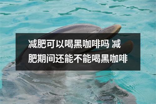 减肥可以喝黑咖啡吗 减肥期间还能不能喝黑咖啡