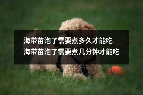 海带苗泡了需要煮多久才能吃 海带苗泡了需要煮几分钟才能吃