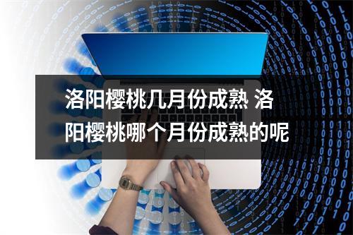 洛阳樱桃几月份成熟 洛阳樱桃哪个月份成熟的呢 洛阳樱桃几月份成熟 洛阳樱桃哪个月份成熟的呢