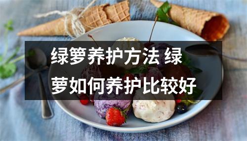 绿箩养护方法 绿萝如何养护比较好