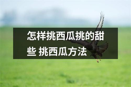 怎样挑西瓜挑的甜些 挑西瓜方法