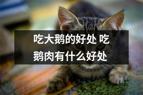 吃大鹅的好处 吃鹅肉有什么好处 吃大鹅的好处 吃鹅肉有什么好处