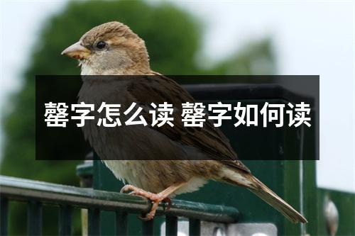 罄字怎么读 罄字如何读