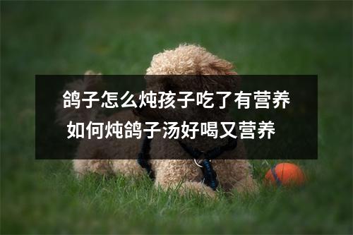 鸽子怎么炖孩子吃了有营养 如何炖鸽子汤好喝又营养