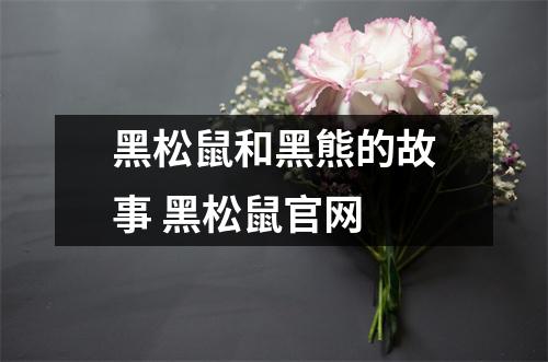 黑松鼠和黑熊的故事 黑松鼠官网