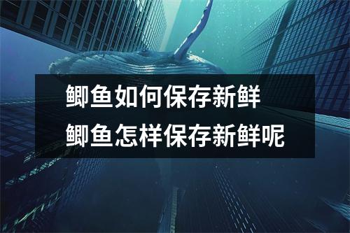 鲫鱼如何保存新鲜 鲫鱼怎样保存新鲜呢