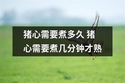 猪心需要煮多久 猪心需要煮几分钟才熟