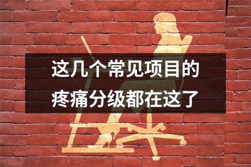 这几个常见项目的疼痛分级都在这了